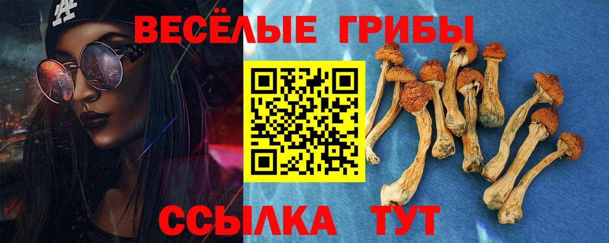 Скопин  Псилоцибиновые грибы MAGIC MUSHROOMS  Вход с VPN 