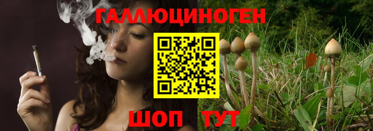 Галлюциногенные грибы MAGIC MUSHROOMS Скопин